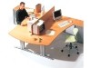 TDS Office Design Collectie CURVO